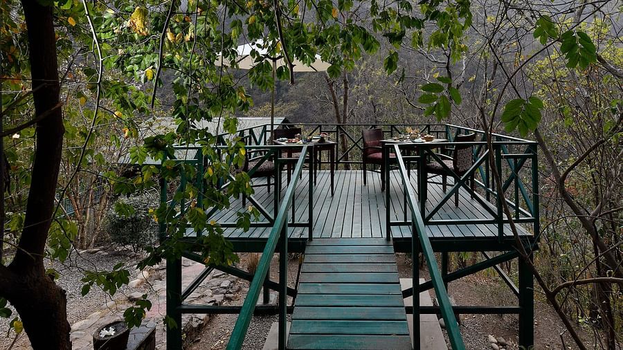 Outdoor dining in the lap of nature