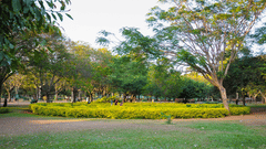 An overview of a park with many trees and a pathway in view