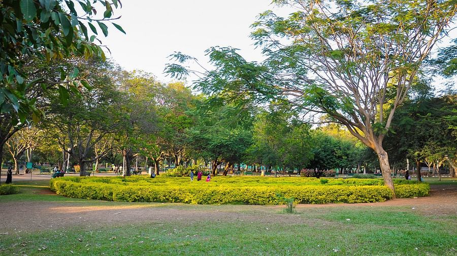 An overview of a park with many trees and a pathway in view