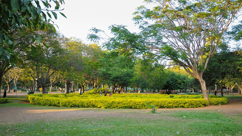 People including children walking around the manicured bushes in the park on a sunny day