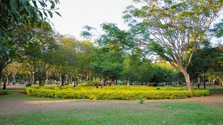 Expansive green lawn bordered by mature trees and landscaped flowerbeds, providing a tranquil setting for relaxation, walks and recreation