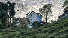 WhatsApp Image 2024-09-23 at 17.41.45 cd6adbe4