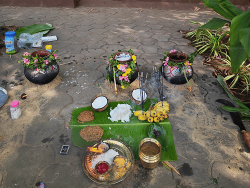An outdoor setting with several clay pots and offerings arranged on the ground, likely for a ritual or ceremony, with bamboo and other plants in the background.