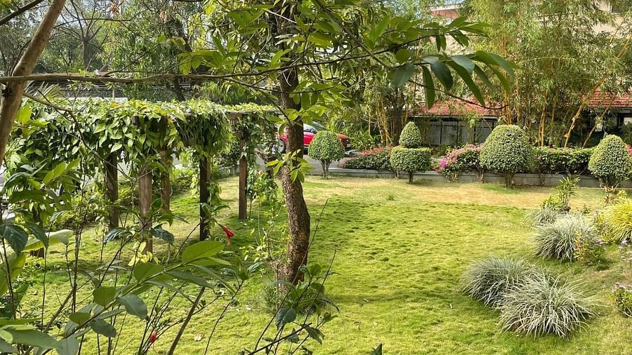 Green lawn crowded with plants - Rhythm Lonavala