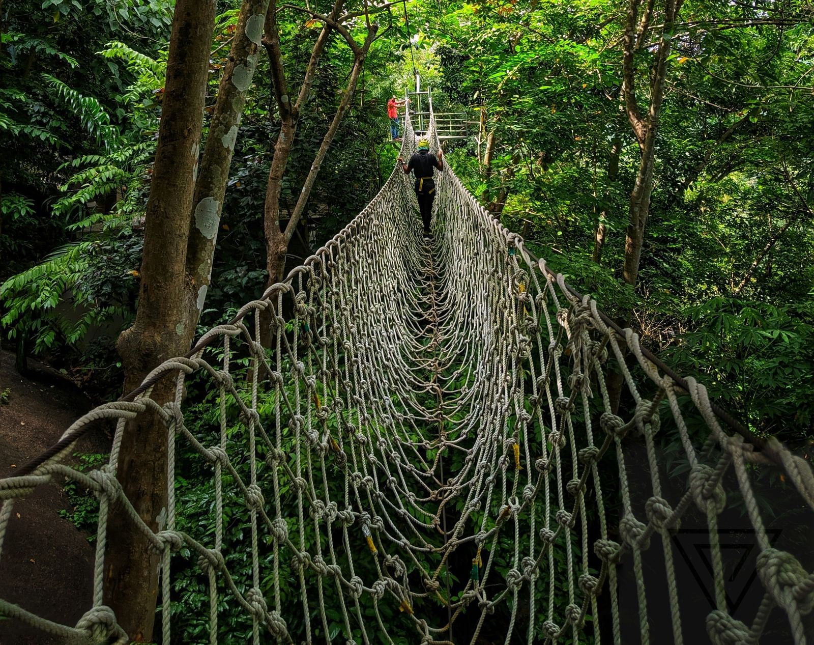 vishnu-prasad-UpGB4lY5BA8-unsplash