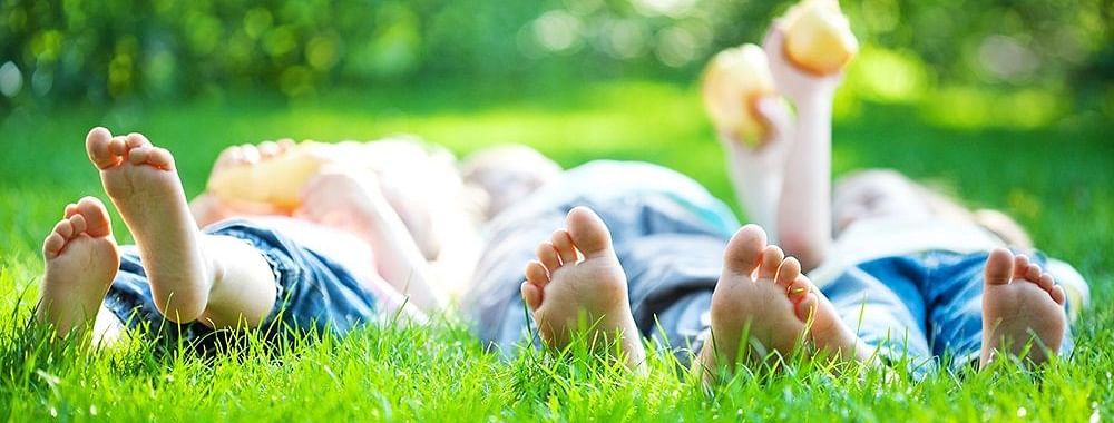 Family Package Hill Country Colelctions Hotels in Kodaikanal Resorts in Ooty Club Resort in Varkala
