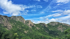 tirupati balaji best time to visit -an image of mountains that is covered in greenery with blue sky in the background