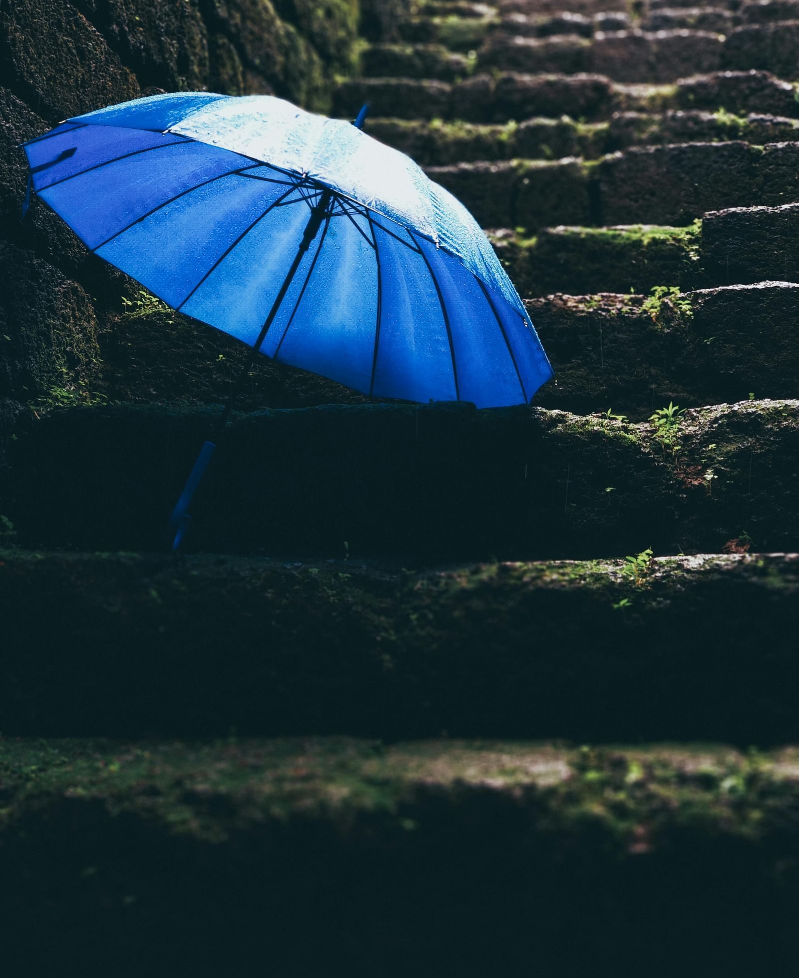 A blue umbrella lies open on stone steps covered with moss and leaves