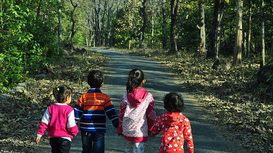 a group of four kids walking hand-in-hand on an empty road surrounded by green trees - the golden tusk