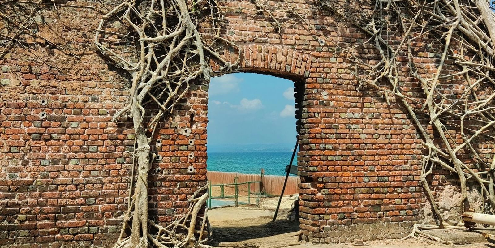 Ruins of a brick structure on Ross Island overgrown with large tree roots, with an arched doorway framing a view of the blue ocean and clear sky.