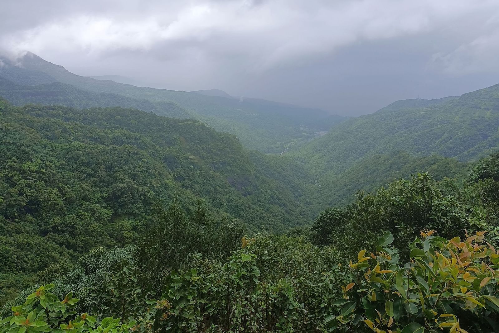 A misty green valley under dramatic cloudy skies, surrounded by dense forests