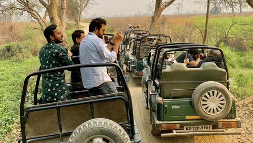 People going for forest safari in a jeep with trees in view at Gir national park