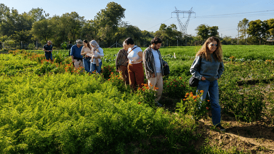 Guests Strolling Through a Flower Farm and Kitchen Garden-Resorts Near Delhi NCR-Coprporate Offsite -Retreats