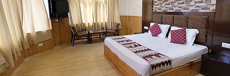 A view of a room at DLS Hotel Devlok, Manali with a double bed, a television and large windows