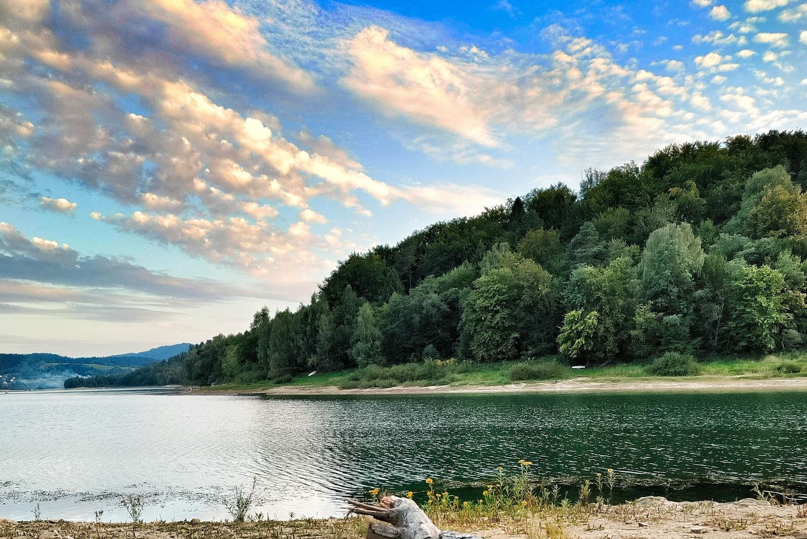  A log lying on the sandy shore of a large lake, which is backed by a hillside covered in dense trees under a cloudy sky.