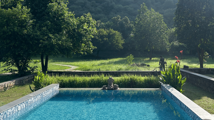 4-16-Pool - Evening Shot-7