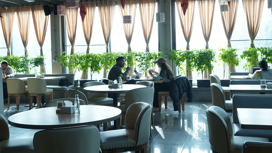 A covered open-air restaurant with round tables, cushioned chairs, hanging fabric drapes, potted plants, and guests seated near glass railings at Clarks Avadh, Lucknow.