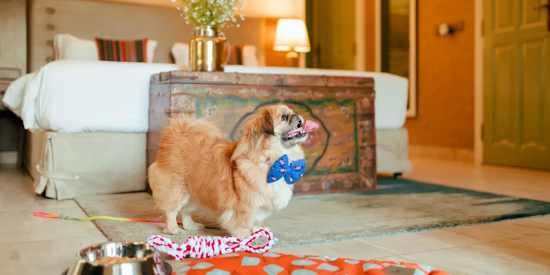 Dog wearing a bow tie sitting on a mat beside a pet bowl in a hotel bedroom at Karma Chalets.