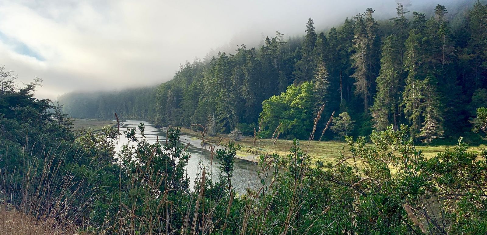 A river flows through a valley surrounded by a dense forest, with mist obscuring the distant landscape.