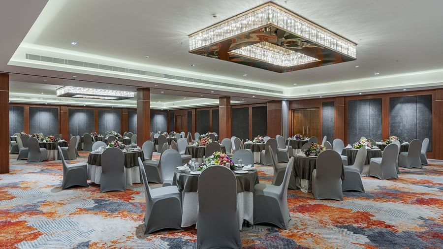 Mysore Hotel New Photographs (14)