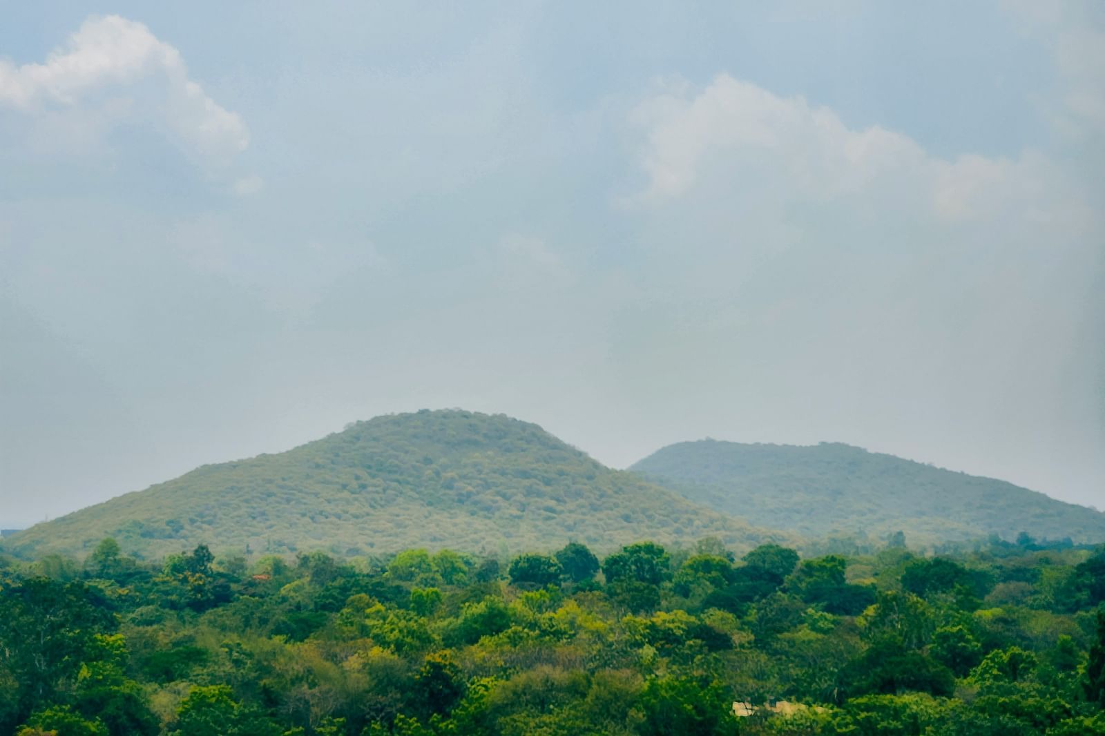 A view from the road of twin hills in the distance with clear sky in the background.