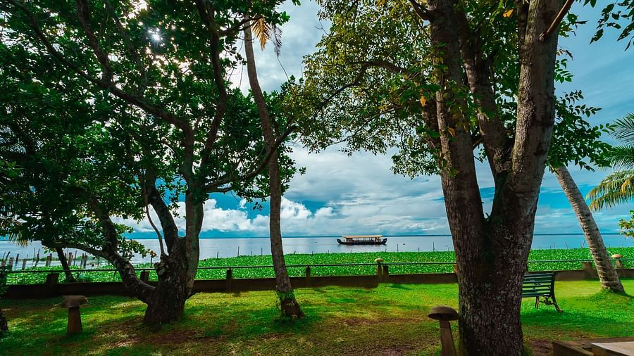 Rhythm Kumarakom - Trees in the garden with a houseboat on the river in the background
