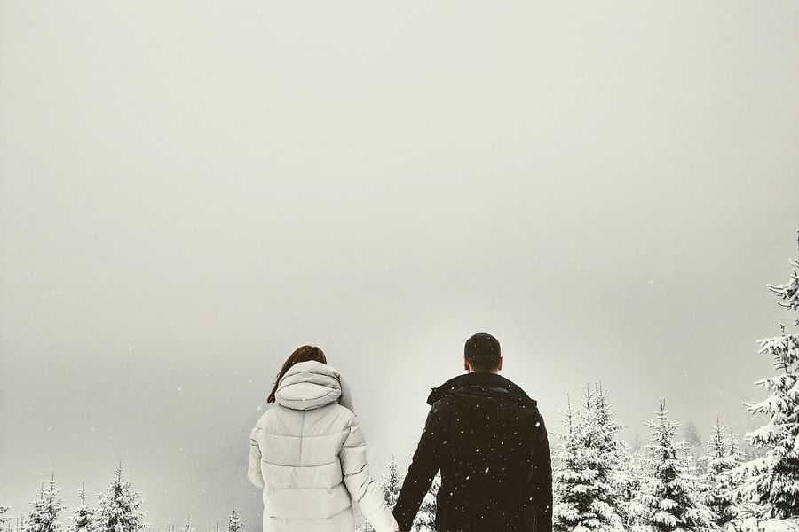 couple holding hands amid snow covered trees