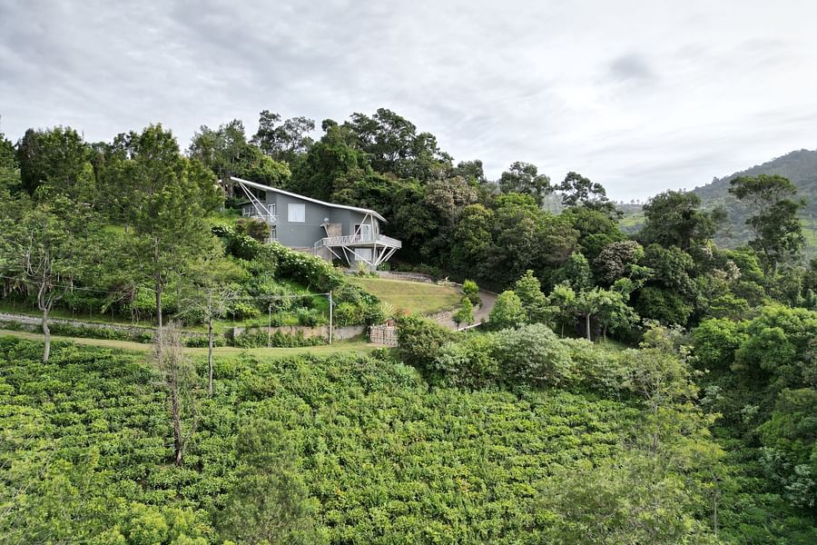 A triangular-roofed home nestled among thick forest, viewed from above at dusk at Ibex Resorts, Coonoor (Tapas).
