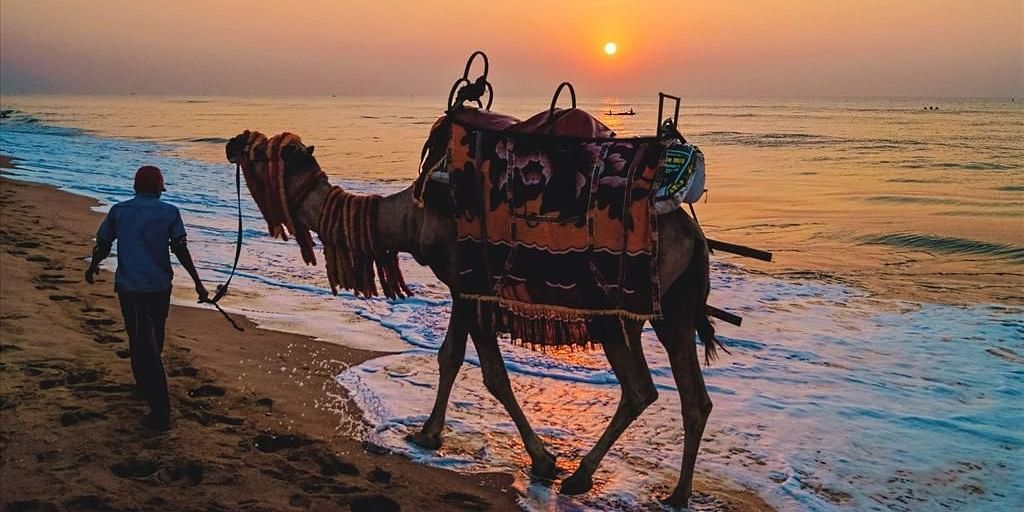 Mahodadhi Palace - A Beach View Heritage Hotel in Puri Best Resorts near Puri Beach