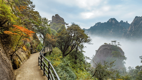 Scenic mountain walking trail surrounded by misty hills and lush greenery.
