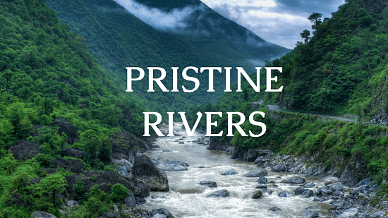 The Bungalows  pristine rivers