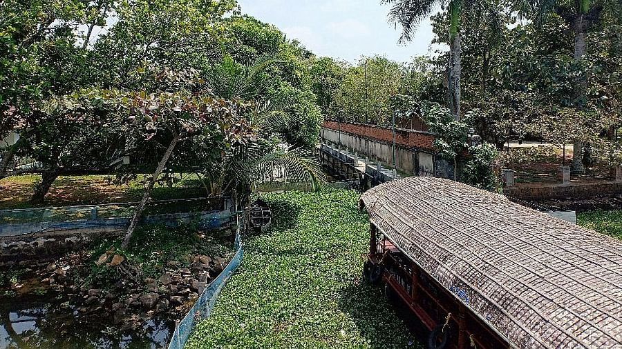 Houseboat floating on a lake full of hydrophytic plants - Rhythm Kumarakom