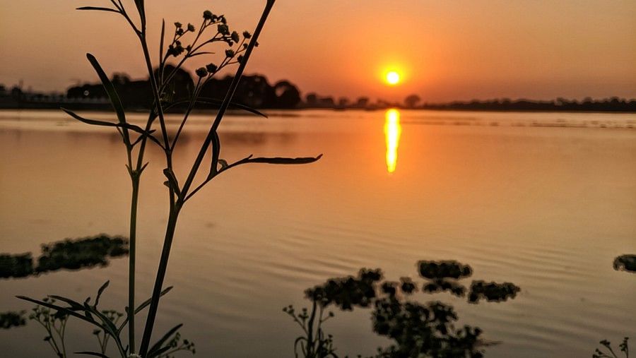 sandeep-yadav-TrYyTBWu-QM-unsplash