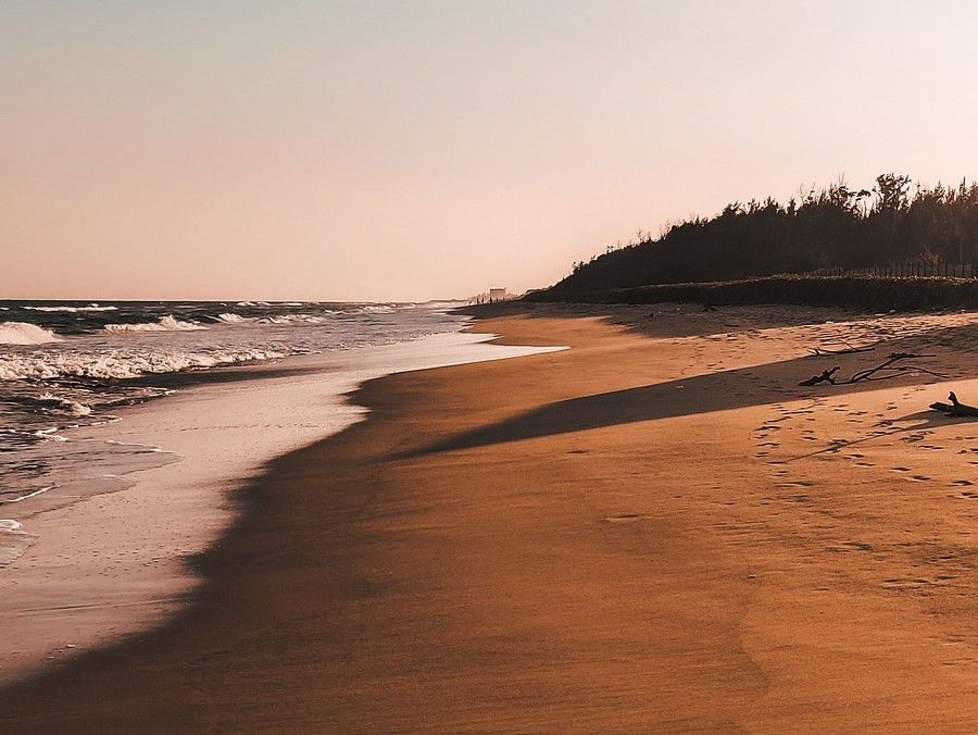 overview of a beach with waves overlapping on the sands