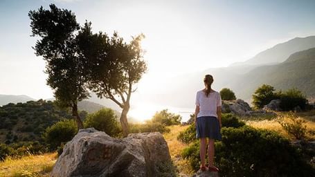A person standing on a rock, next to a boulder, overlooking trees and hills under sunlight.