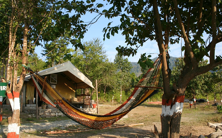 An image featuring a hammock hanging between two trees, anfd the tent in the background