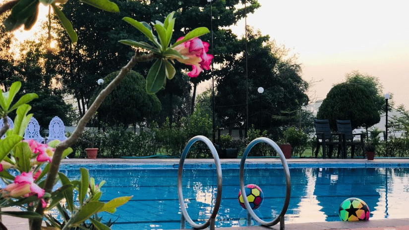 roses in the foreground and swimming pool in the background - VITS Kamats Resort, Silvassa