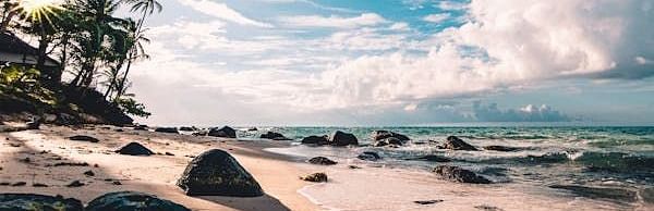 Image of a beach with trees and large rocks around it.