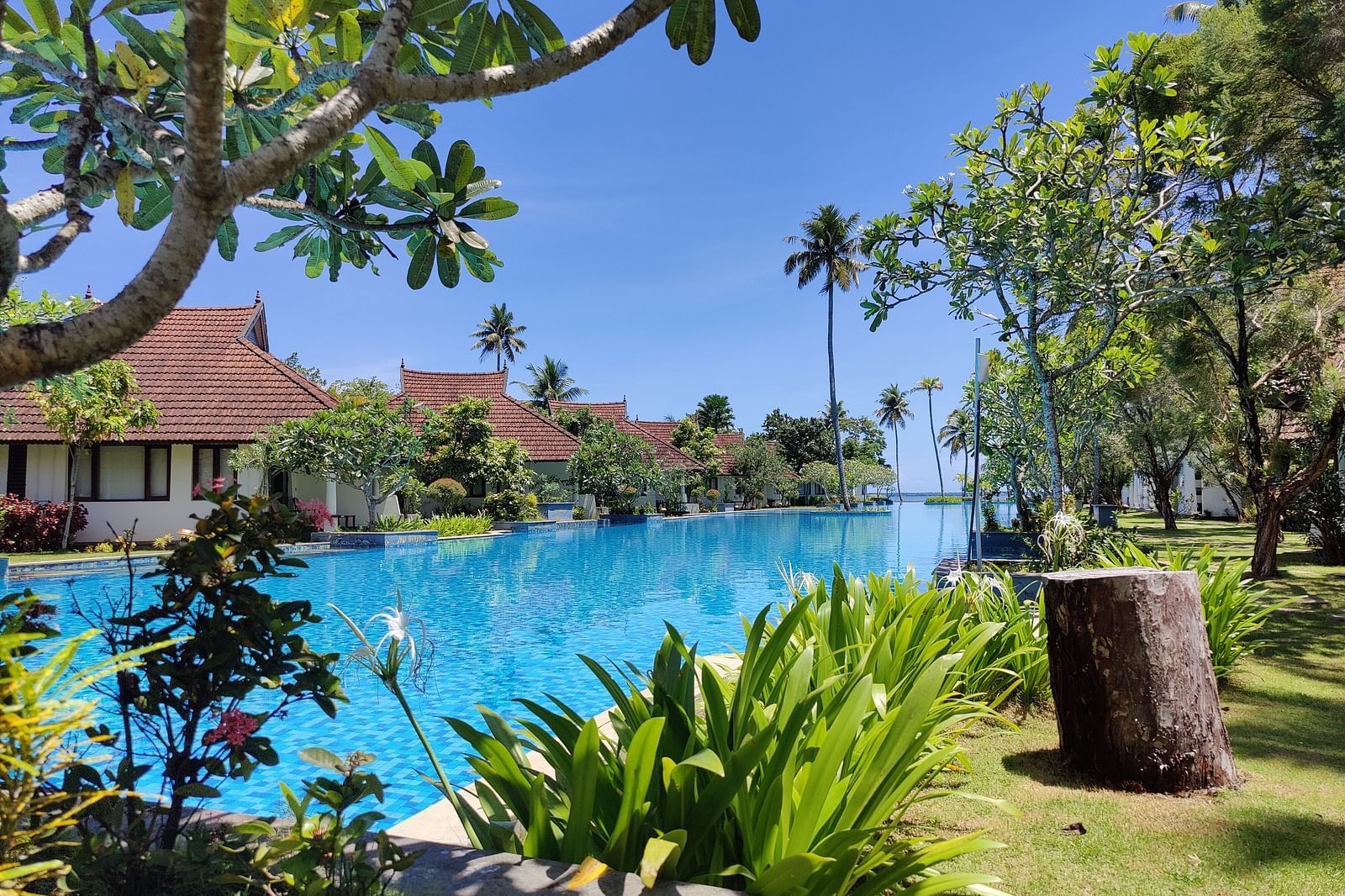 an image of a clear swimming  pool surrounded by cosy rooms and lush trees in the background - Rhythm Kumarakom