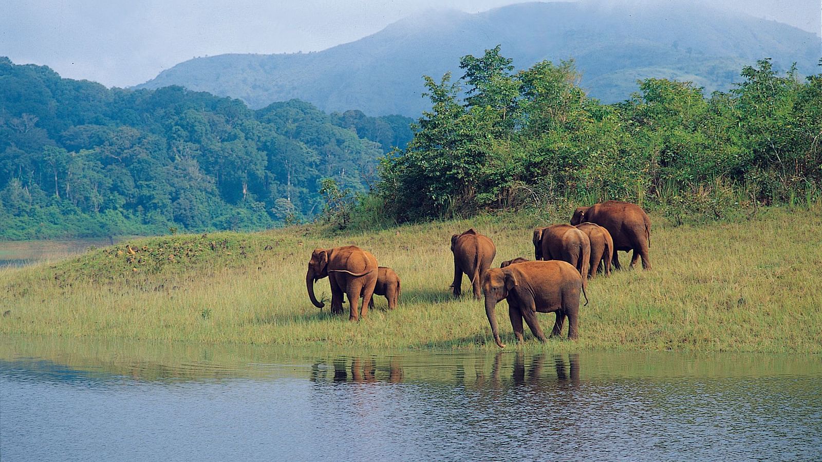 Ambapani-Wildlife-Sanctuary