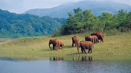 Ambapani-Wildlife-Sanctuary