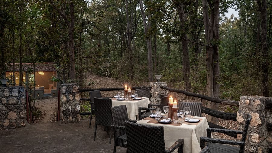 Wide view of dining setup at Machaan dining atSaccharum Safari Lodge, Balaghat