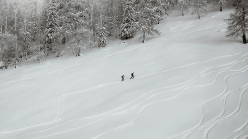 A far out view of two people trekking in the snow with trees next to them.