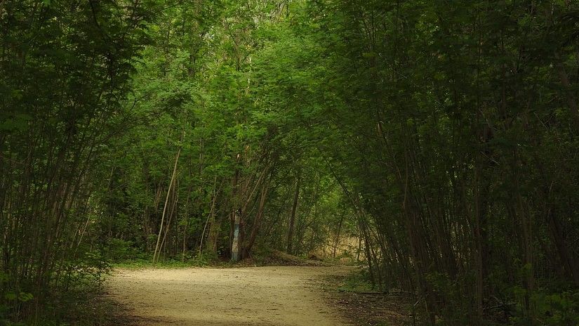 Botanical Garden near Daspalla Hyderabad