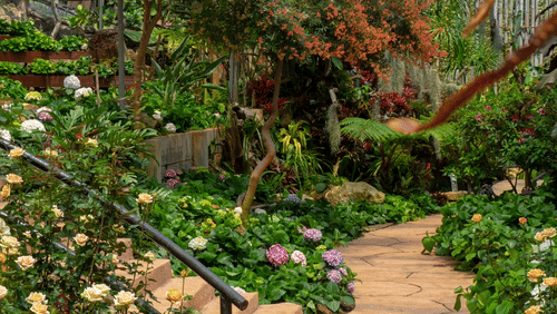 A garden inside a glasshouse featuring flowers and plants on a sunny day