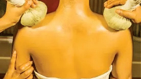 Wellness Weding