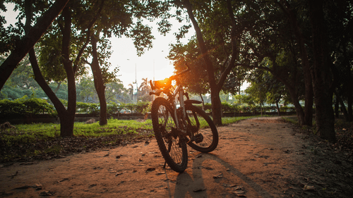 Bicycle parked beside a tree-lined trail in a landscaped park at sunset.
