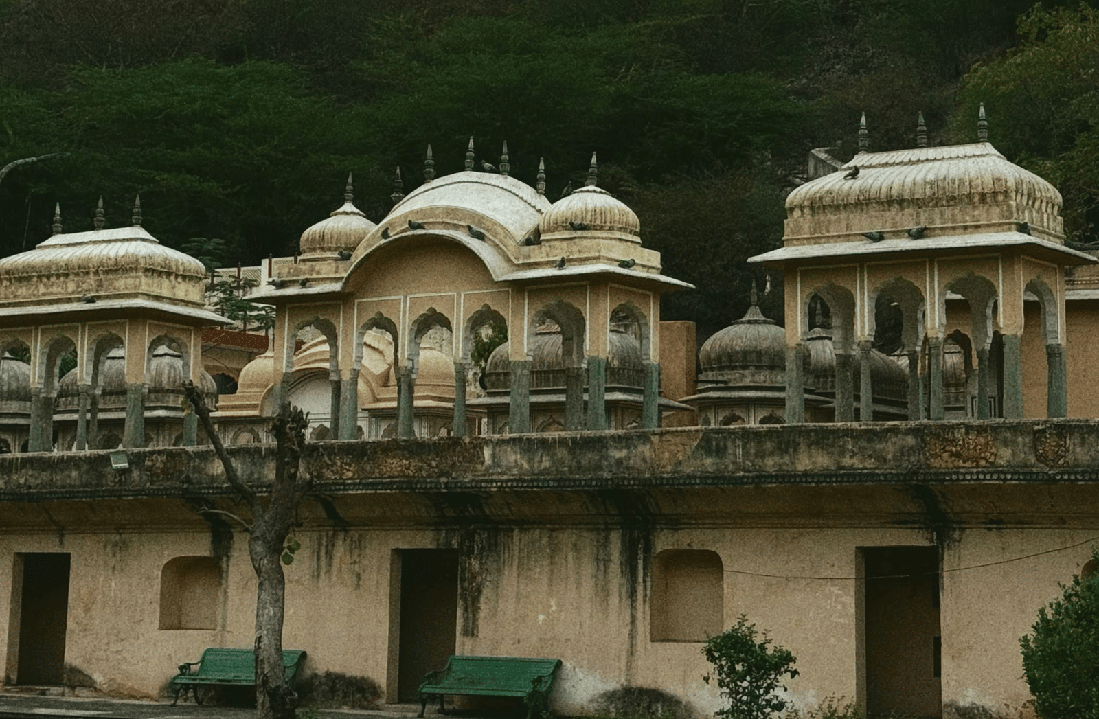 pexels-manishjangid-36470592