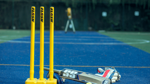 Wickets cricket bat and ball 
