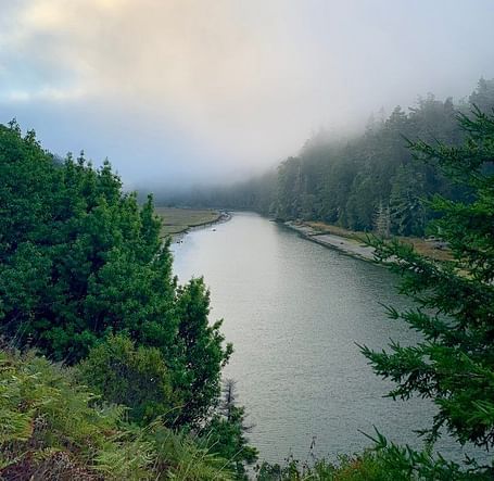 A river winds through a valley, flanked by trees and obscured by a layer of mist.